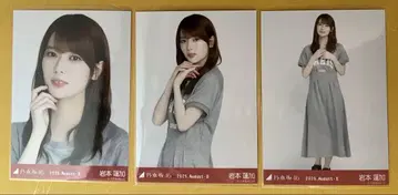 브로마이드 이와모토 렌카