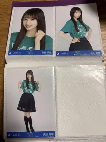 야다 모에카 브로마이드 컴프 미야기 라이브 t 노기자카