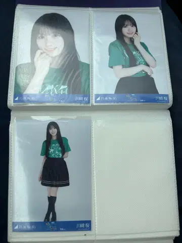 카와사키 사쿠라 브로마이드 컴프 라이브 t 미야기 노기자카