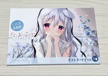 시라타마 시라타마코 엽서 세트 하얀 강아지