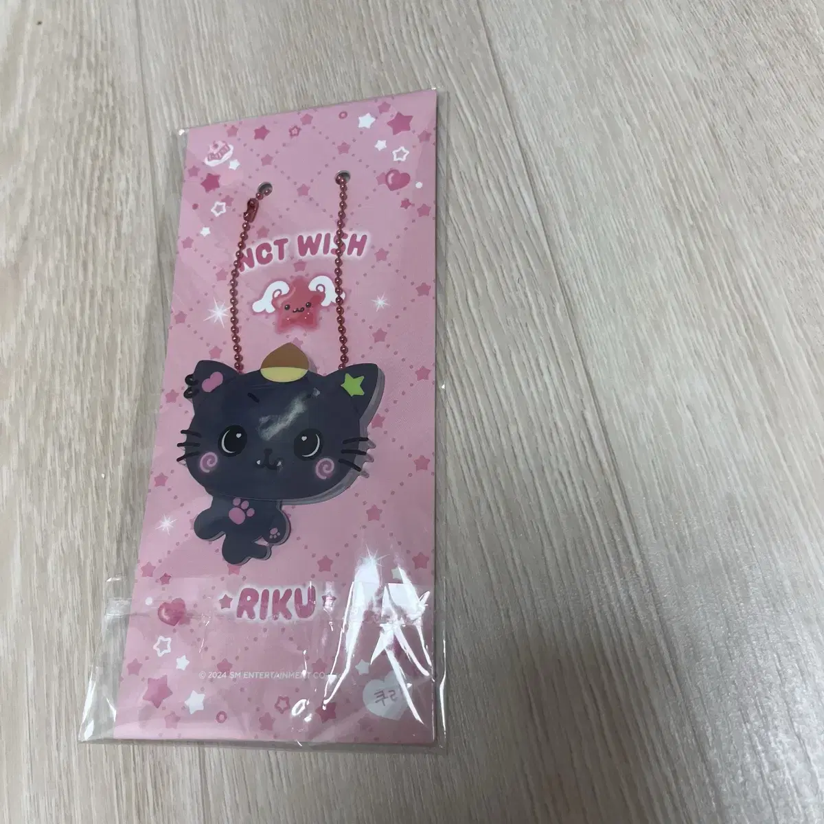 NCT | 엔시티 Nct Wish Acrylic Keyring Riku Kuri on Bunjang
