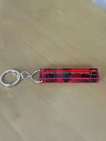 acid black cherry 2015 arena tour 키링