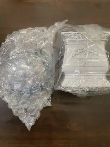 포켓몬 테라리움 컬렉션 뮤츠