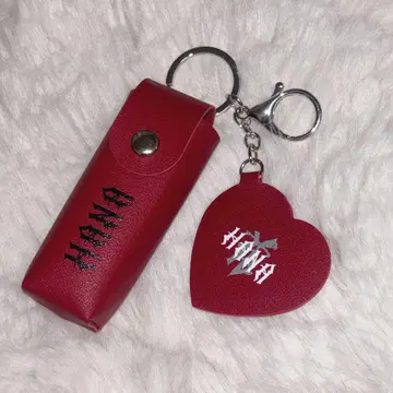 HANA 로고 립 케이스