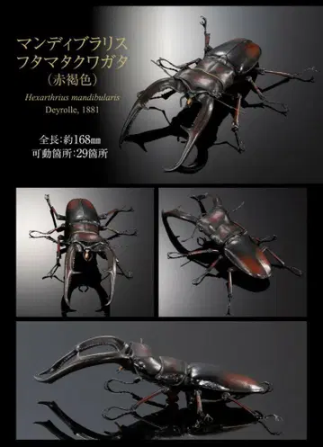 생물대도감 어드밴스 만디블라리스두갈래사슴벌레 (적갈색) 2개 세트