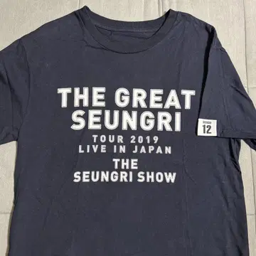 THE GREAT SEUNGRI TOUR 2019 티셔츠 사이즈 M