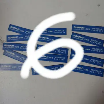 GIANNA BOYFRIEND+ 응모권 15매 세트 WILD BLUE