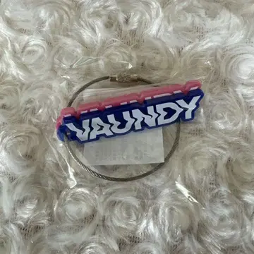 VAUNDY HEADSHOT 캡슐 토이 키링