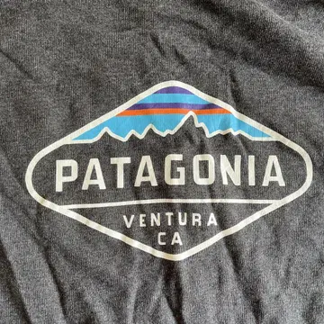 Patagonia 로고 후드티