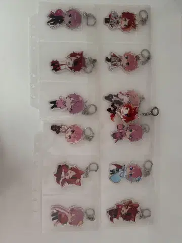 스토푸리  사토미 아크링 키링