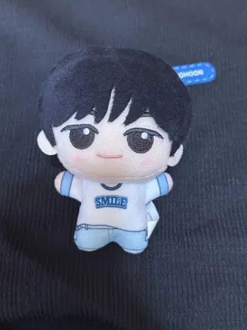 TWS 도훈 SD 인형