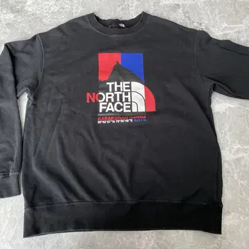 THE NORTH FACE 맨투맨 XL 블랙