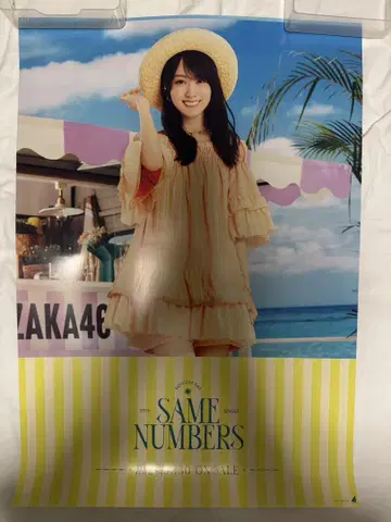 카키 하루카 Same numbers 포스터