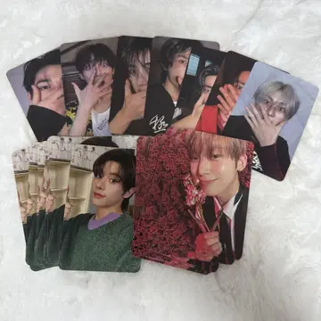 ENHYPEN SHOPEE kpopmerch 37매