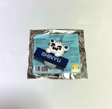 TWS 신유 베어 키링