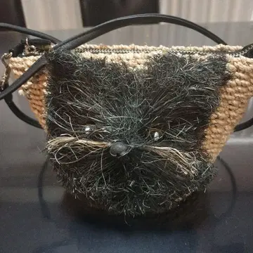 카롤리나 글레이서 카고백