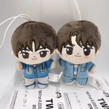 TWS From PLEDIS ENTERTAINMENT 솜인형 2개 세트