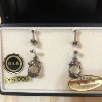 크리스탈 장식 실버 귀걸이