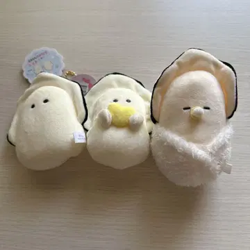 똘망한 눈망울의 생굴