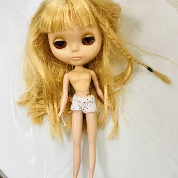 브라이스 본체 Blythe