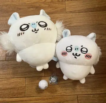 치이카와 모몽가 4세트
