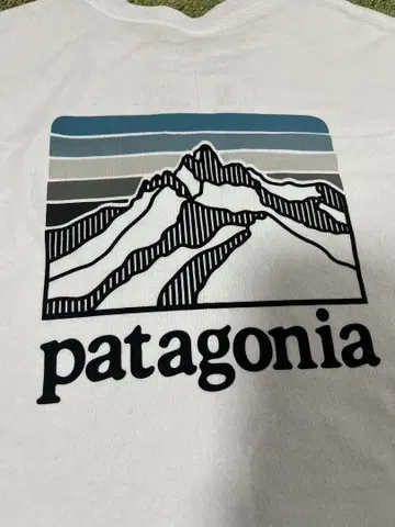 patagonia 티셔츠