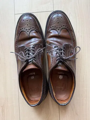 Alden cordovan 91/2 San Francisco