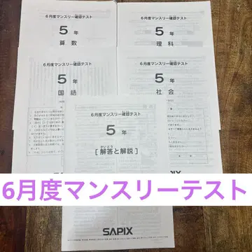 사픽스 먼슬리 테스트 5학년 6월