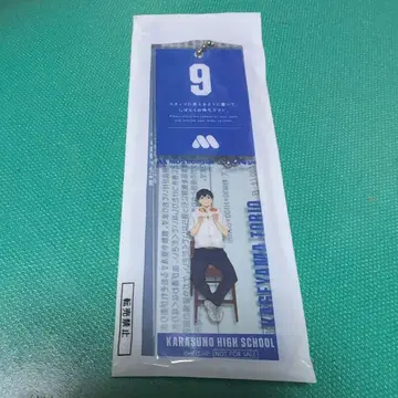 하이큐 모스버거 카게야마 토비오