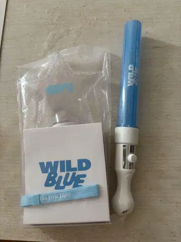 WILD BLUE 응원봉