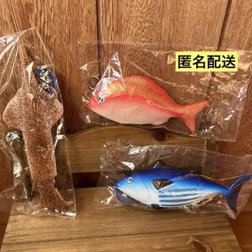탱글탱글 싱싱한 생선 도미 오징어 가다랑어