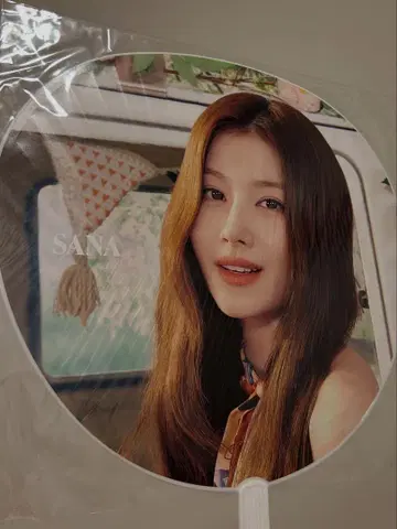 TWICE 사나 부채
