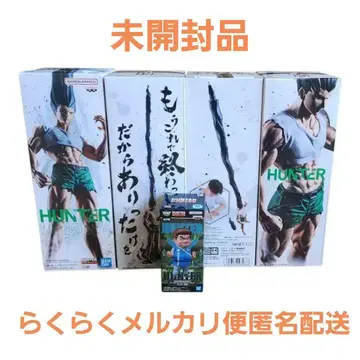 HUNTER x HUNTER 피그라이프! 곤