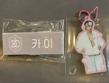 EXO 카이 KAI SMTOWN 2025 네임택 아크릴 키링