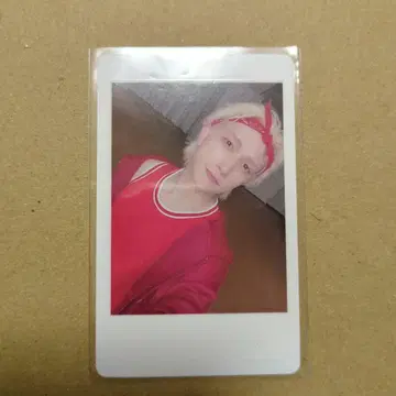 판다드래곤 요우타 하피카