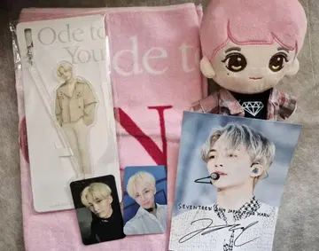 SEVENTEEN 정한 하니 Ode to You 굿즈 5