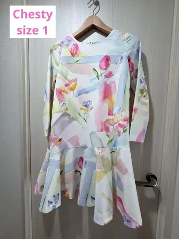 Chesty 꽃무늬 플레어 원피스 긴팔 size 1