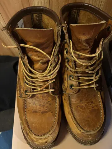 브라운 가죽 워크 부츠 높이가 있는 부츠