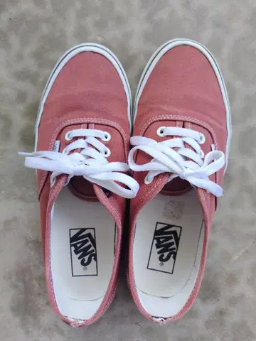탈색 VANS
