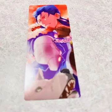 새상품 FGO 쿠훌린 캐스터 카드