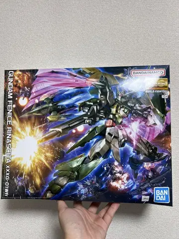 MG 1/100 건담 페니체 리나시타
