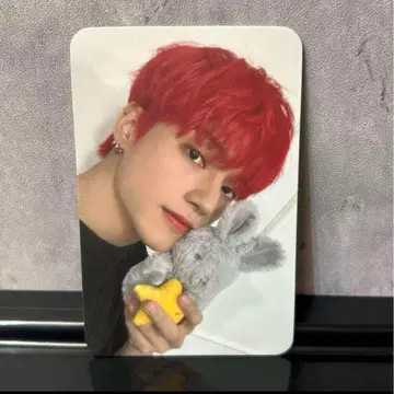 ATEEZ 우영 SixKshop 특전 토끼 봉제 인형 포토 카드