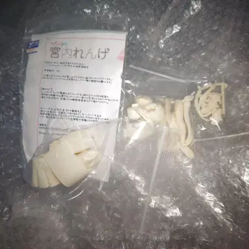 논논비요리 미야우치 렌게 레진 키트 미조립