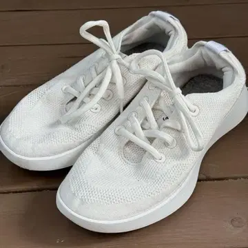 올버즈 Allbirds 트리 러너 고 화이트