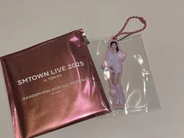 SMTOWN LIVE 2025 도쿄 미니 아크릴 키링 아이린
