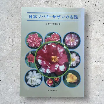 일본 츠바키 사잔카 명감