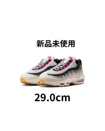 air max 95 SB 29.0cm Cactus Flower