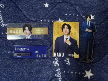 트릴리온 게임 Haru 아크릴 스탠드 & 코스튬 라이온