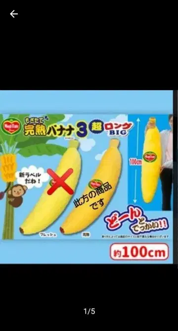 [무료배송] 갓 수확한 완숙 바나나 3 초롱