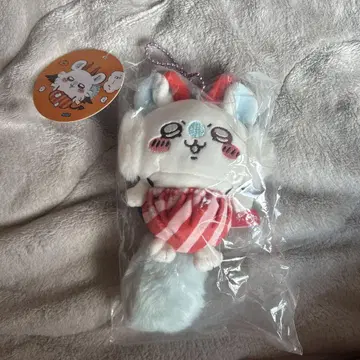 모몽가 데빌